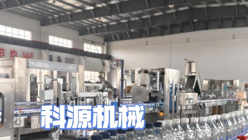 揭秘食品加工设备：性价比高的关键因素