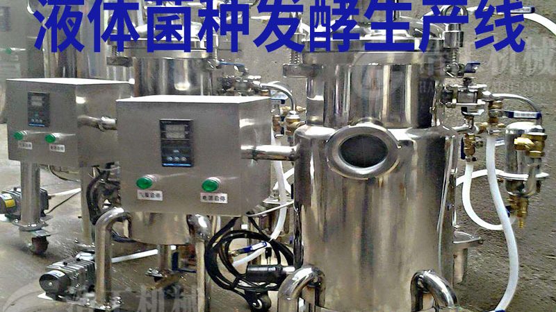 食品输送线定制方案：揭秘定制化背后的关键要素