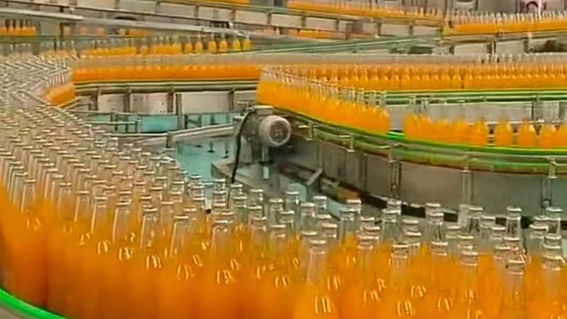 食品加工流水线：价格背后的价值考量